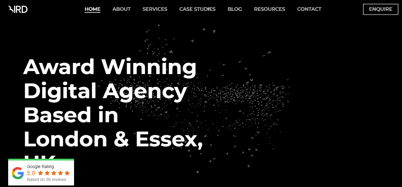 Bird Marketing Seo Agency