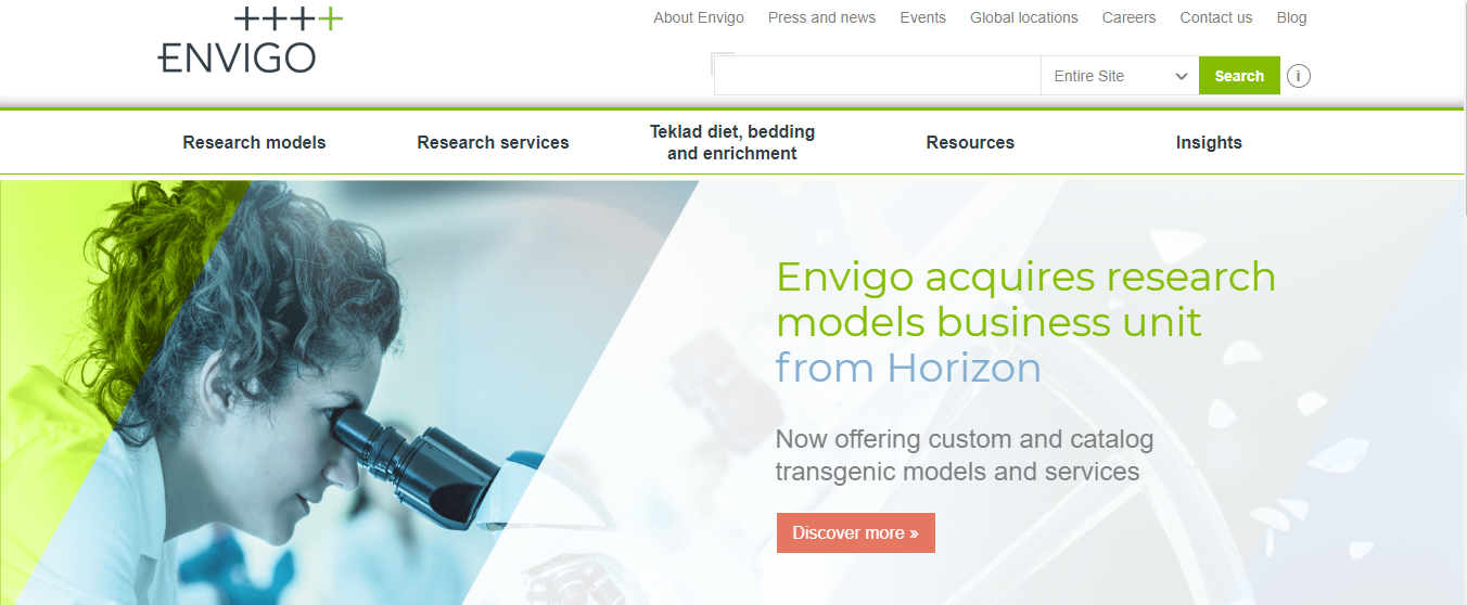 Envigo Seo agency