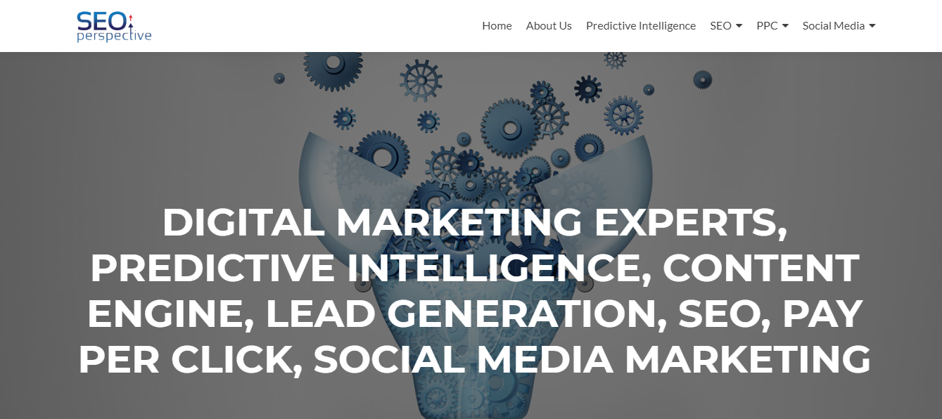 SEO perspective Seo Agency