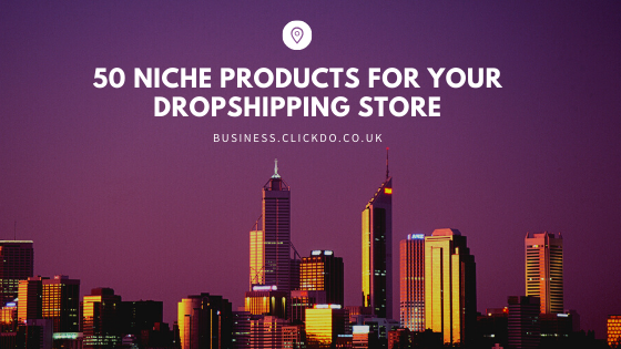 niche products for drop shipping store