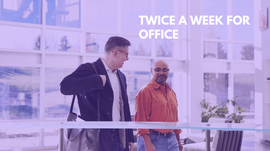 twice a week for Office