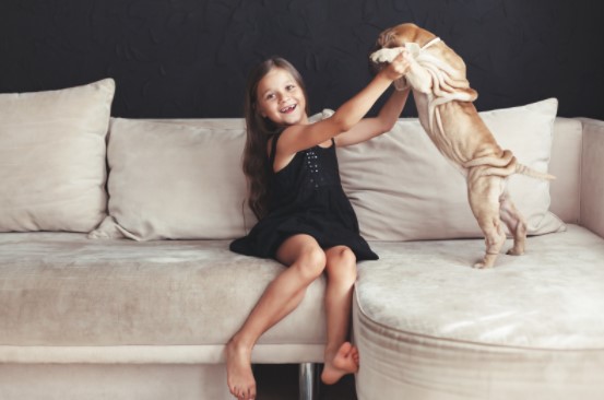 Top TikTok Ideas With A DogTop TikTok Ideas With A Dog