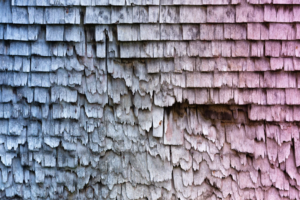 damaged shingles