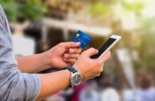 Fraud Alerts