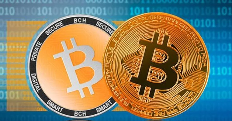 Bitcoin Cash BCH Bitcoin Cash BCH