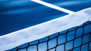 Netting