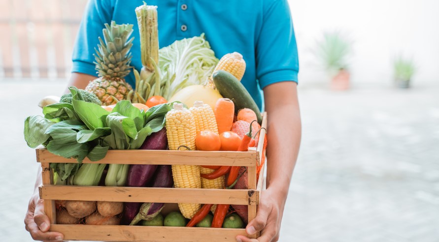 How to Start a Small Organic Vegetable Supply Business?