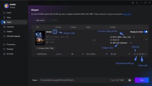 Customize the output video
